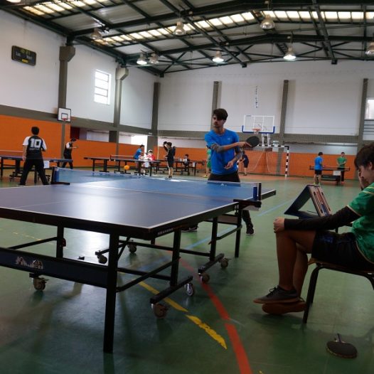 Utilização de Instalações Desportivas | 2019-2020