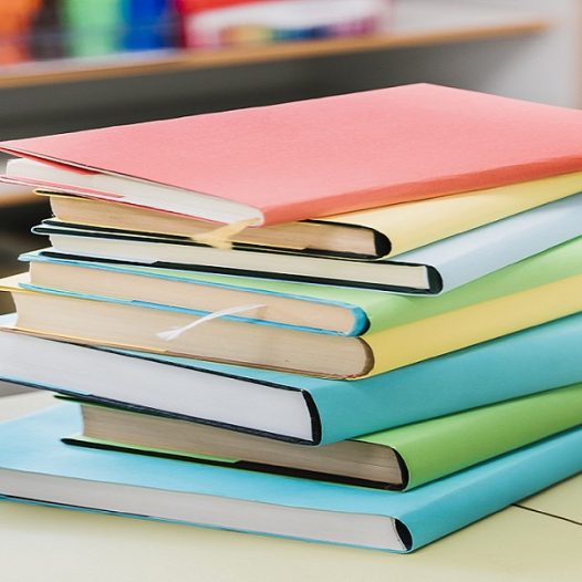 MANUAIS ESCOLARES | Ano letivo de 2025-26