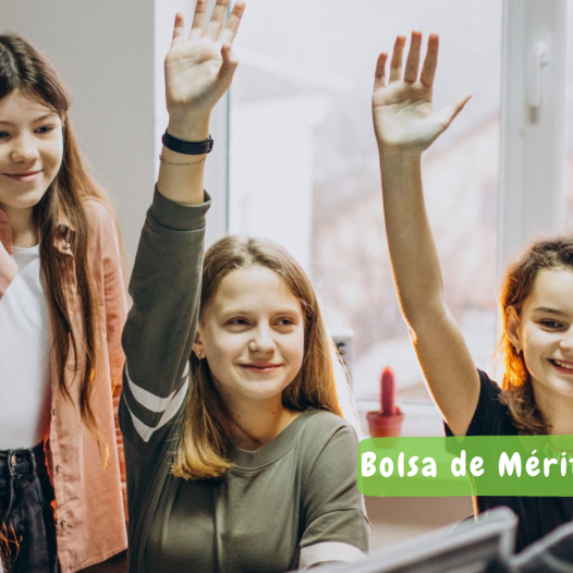Bolsas de Mérito | Ano letivo 2024-25