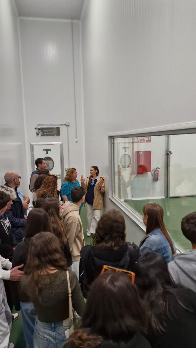 Imagem-WhatsApp-2025-05-14-às-14.04.21 247c5597