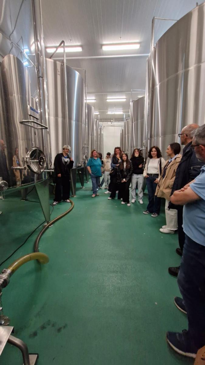 Imagem-WhatsApp-2025-05-14-às-14.04.21 28de5dbc