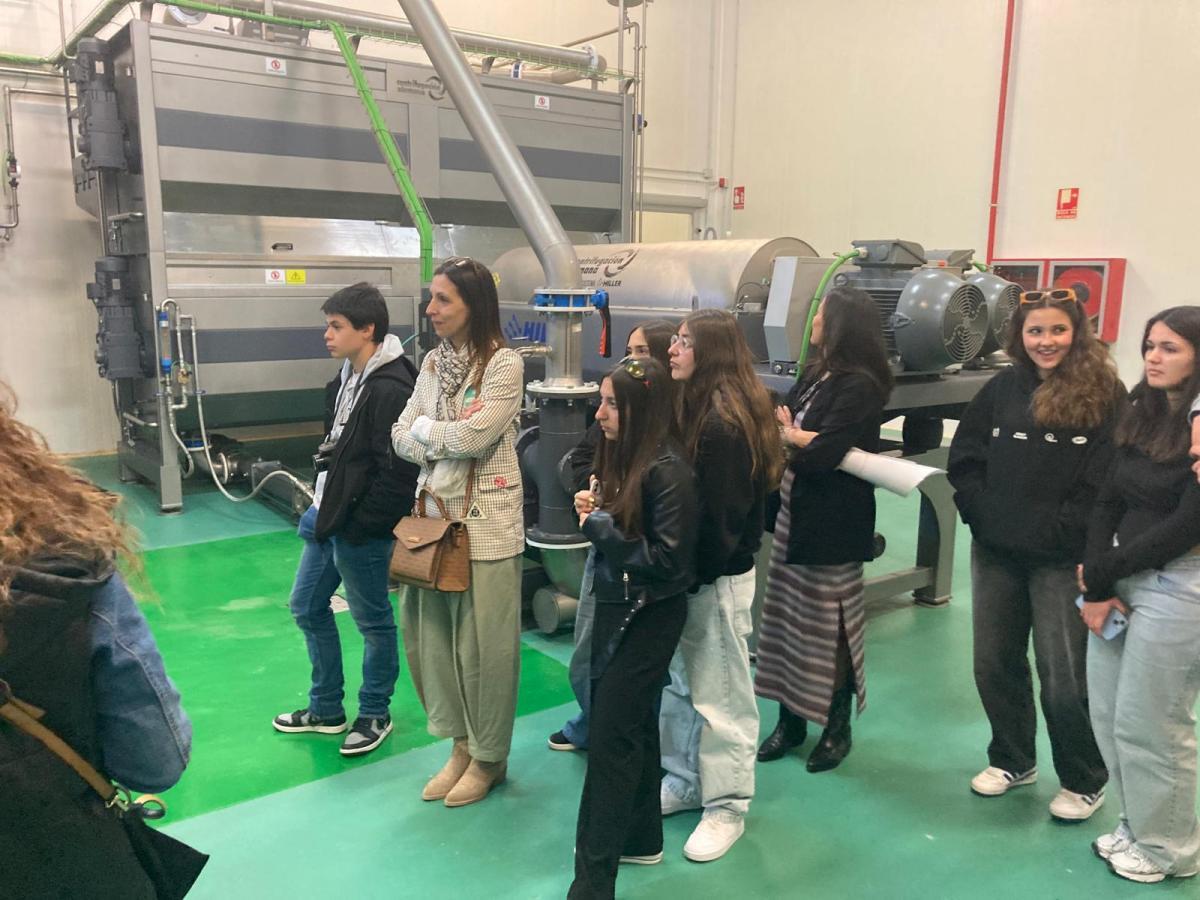 Imagem-WhatsApp-2025-05-14-às-14.35.53 2e3ae979