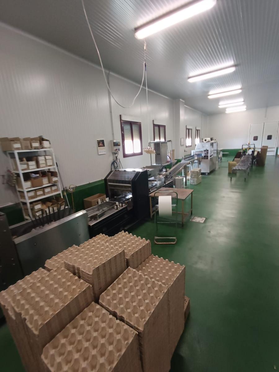 WhatsApp Image 2025-03-12 at 02.49.40 (3)