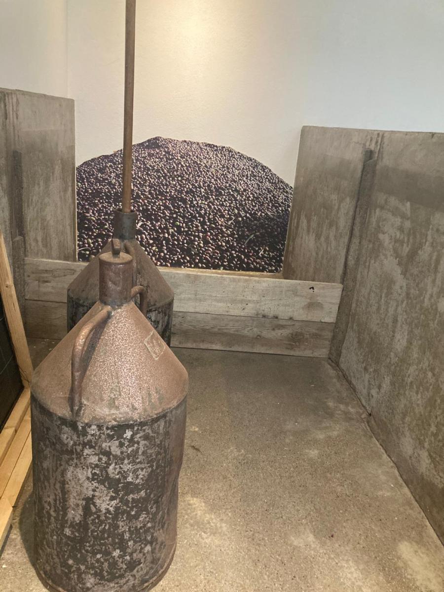 WhatsApp Image 2025-04-03 at 16.56.23