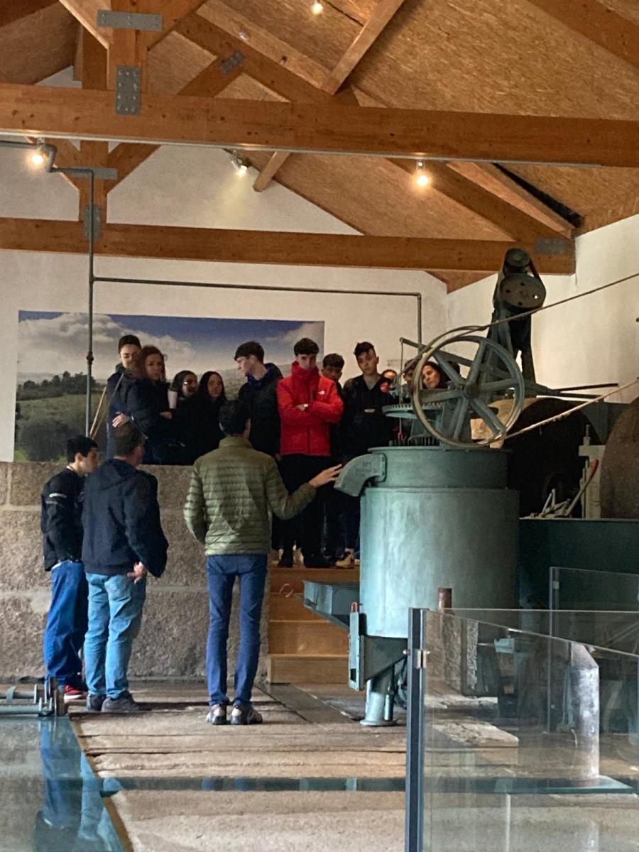 WhatsApp Image 2025-04-03 at 16.56.39