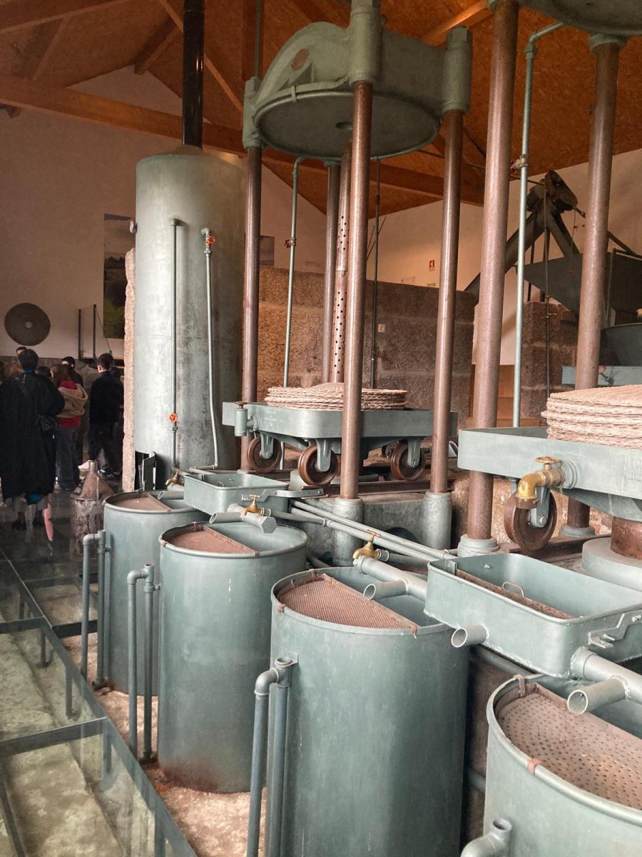 WhatsApp Image 2025-04-03 at 16.56.49