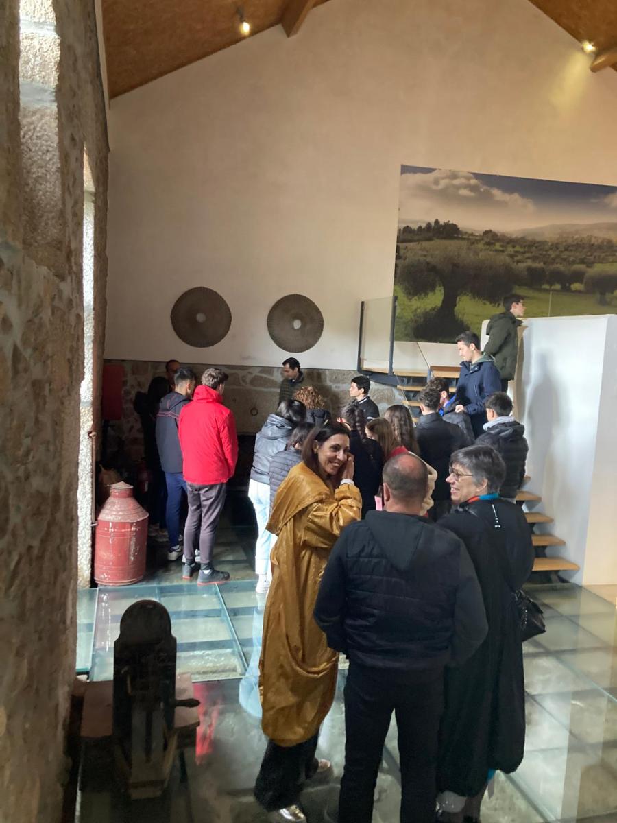 WhatsApp Image 2025-04-03 at 16.56.50