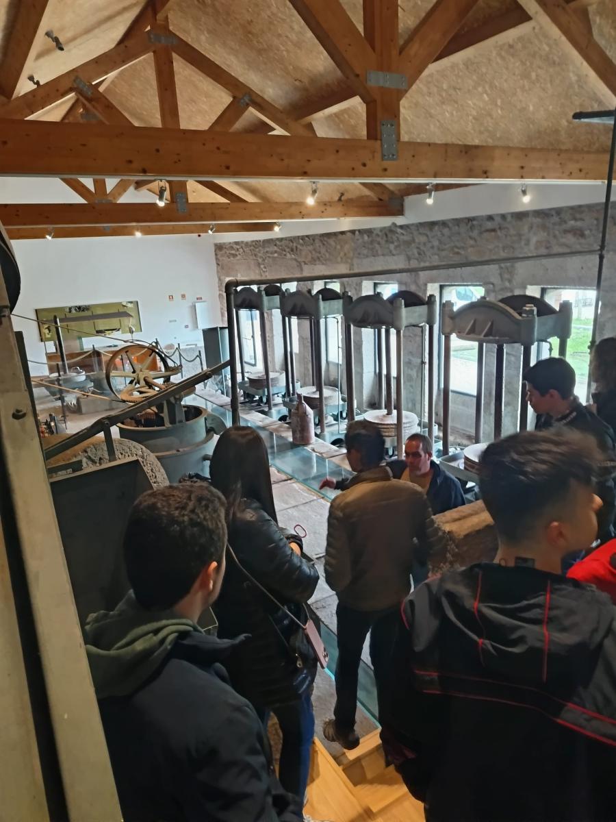 WhatsApp Image 2025-04-05 at 18.04.28 (1)