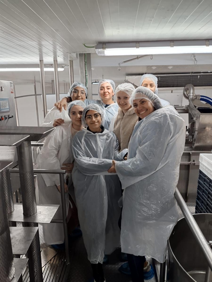 WhatsApp Image 2025-04-05 at 18.04.28 (4)